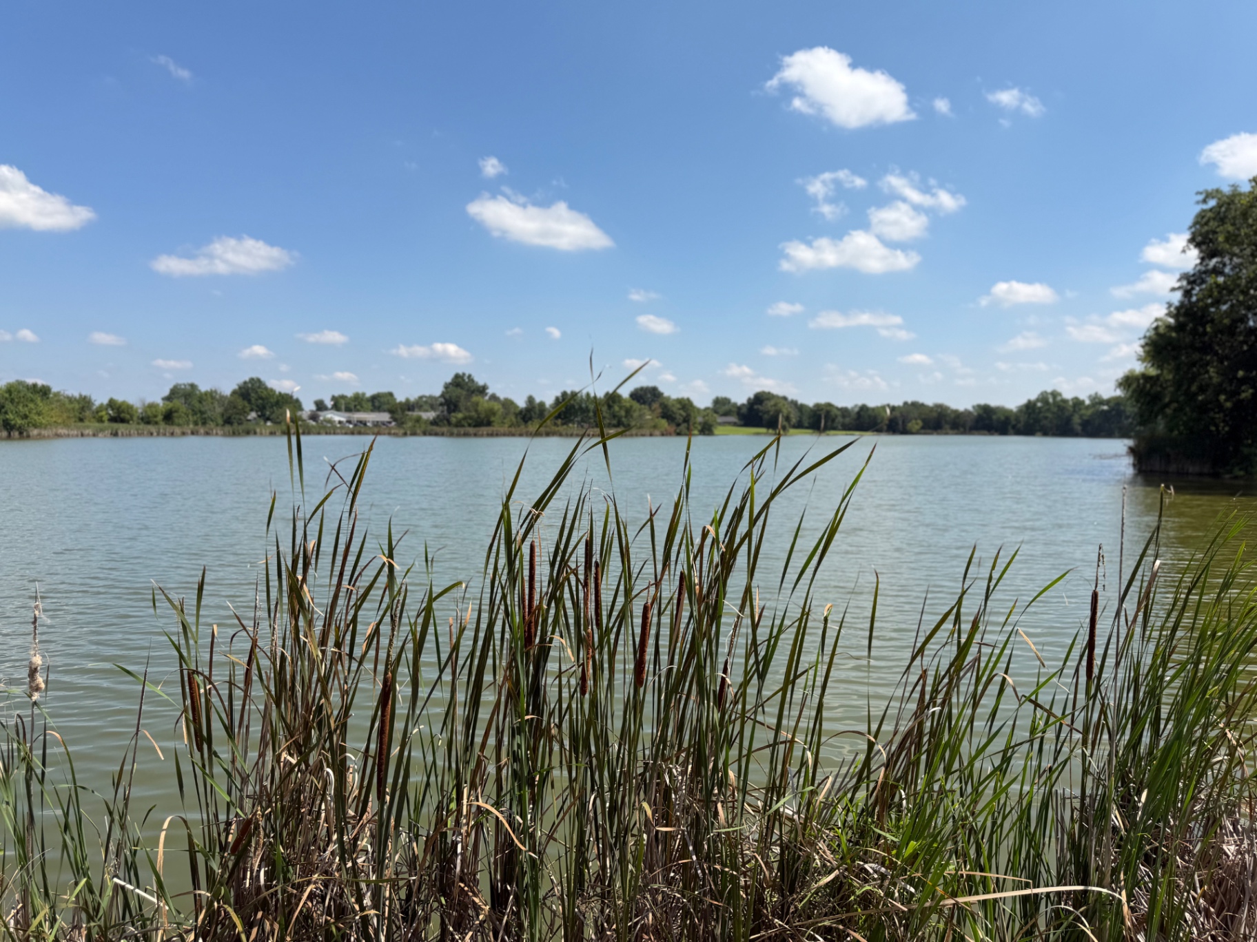 Lake on Timberline Drive